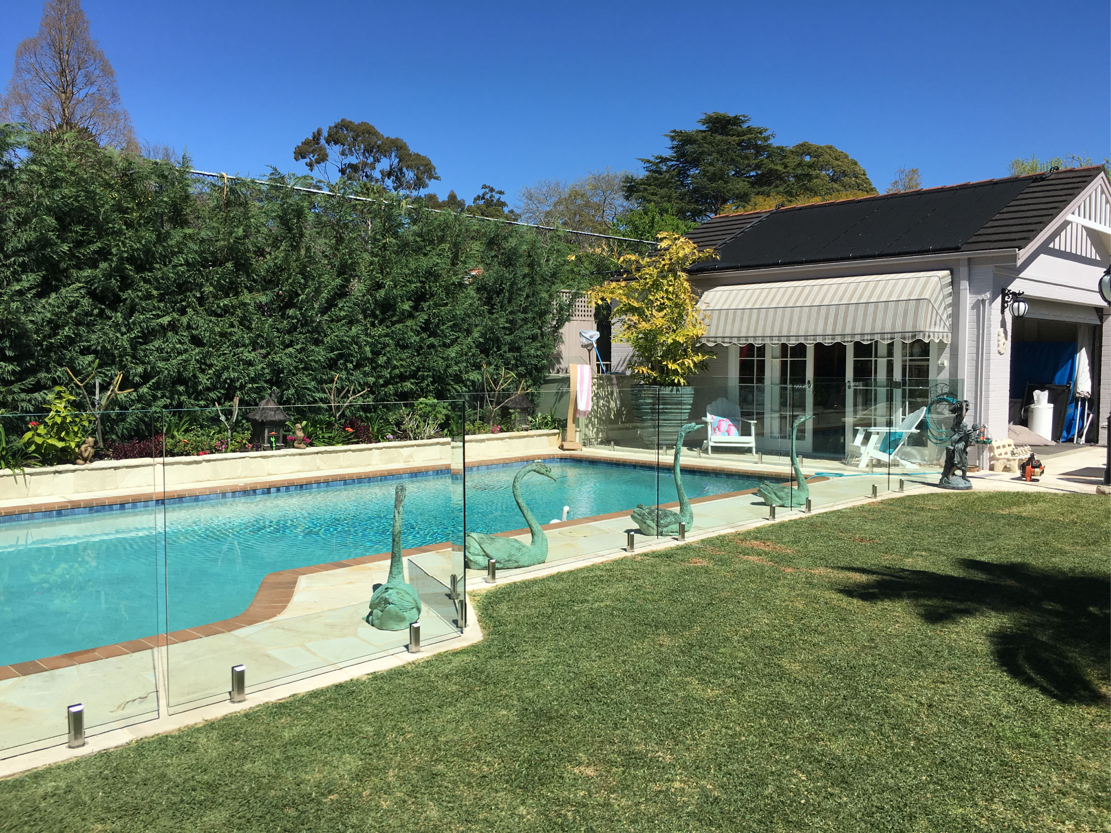 frameless-pool-fencing-sydney-backyard